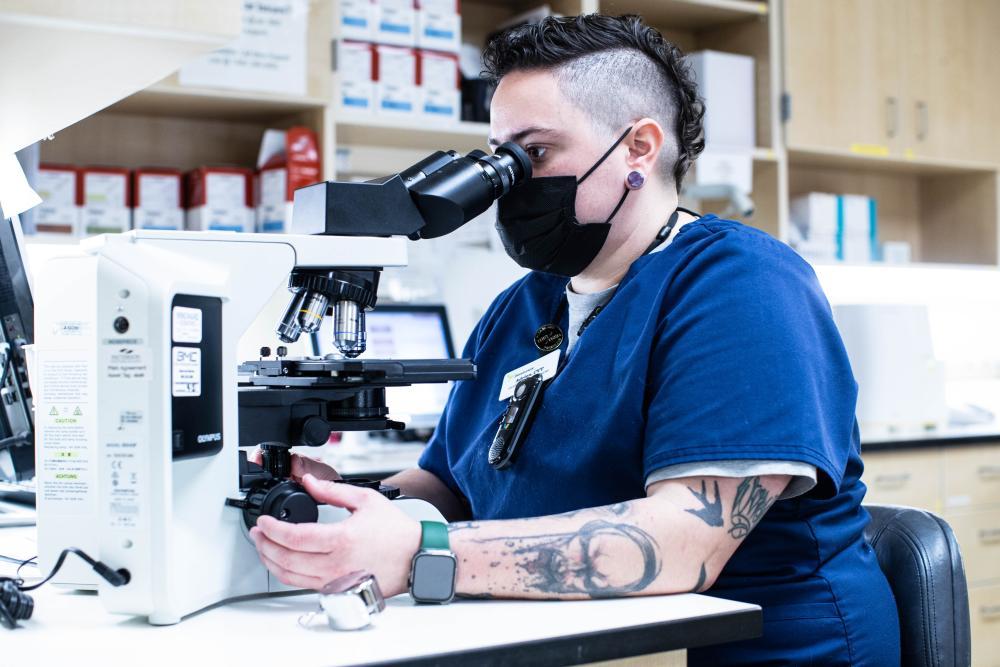 Types of Veterinary Jobs at a Nonprofit Hospital DoveLewis